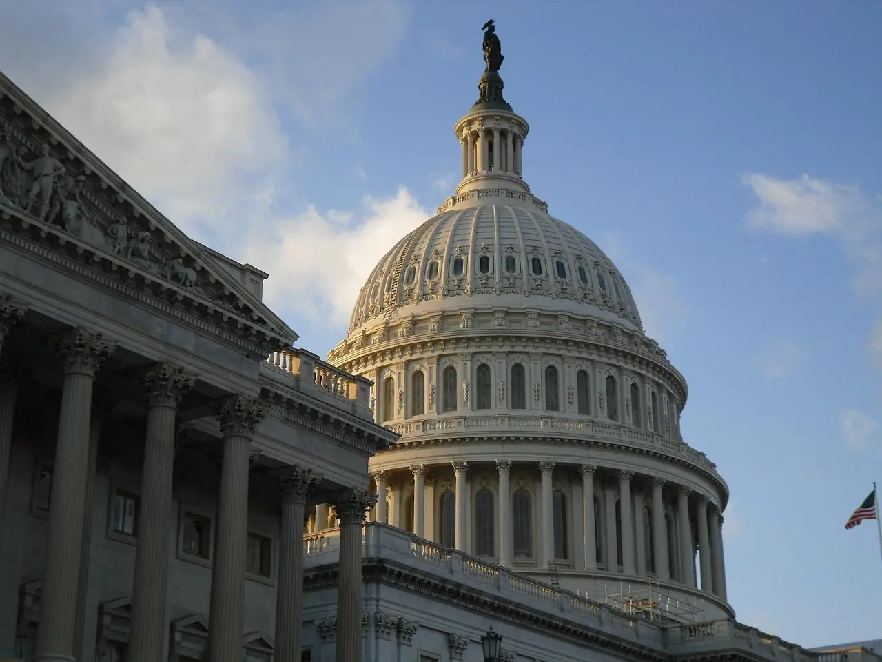 Why Congress